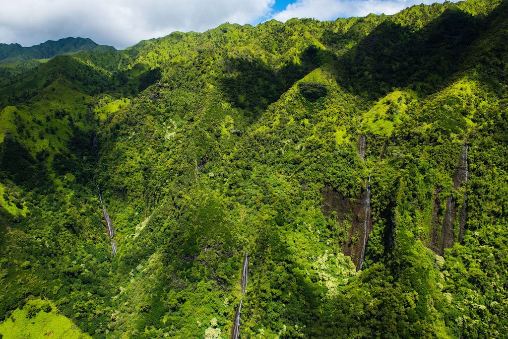 kauaibyair5